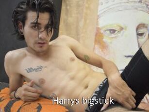 Harrys_bigstick