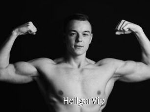 HeilgarVip