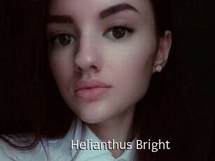 Helianthus_Bright