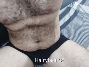 Hairybear18