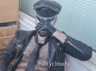 Hairycloudy