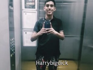 Harrybigdick