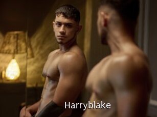 Harryblake