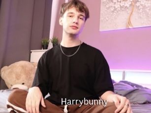 Harrybunny