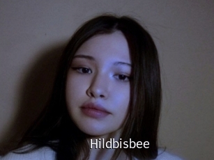 Hildbisbee