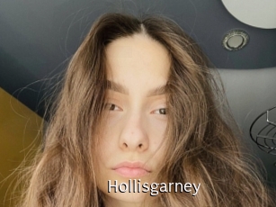 Hollisgarney