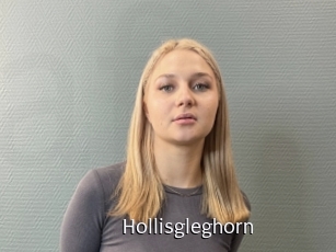 Hollisgleghorn