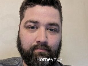 Horneyguy