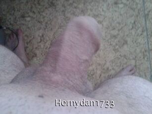 Hornydan1733