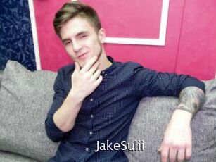 JakeSulii