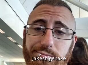 Jakesbigsnake