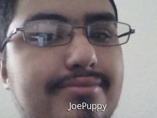 JoePuppy