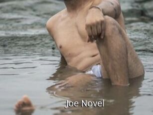 Joe_Novel