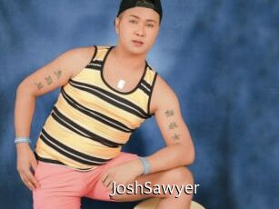 JoshSawyer