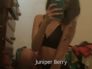 Juniper_Berry