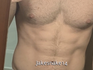 Jakesnake14