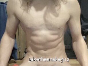 Jakethesnake312