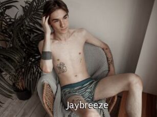 Jaybreeze