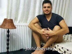 Joehotboysexy