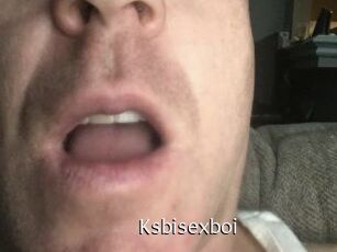 Ksbisexboi