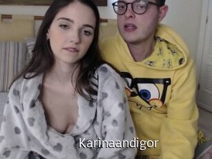 Karinaandigor