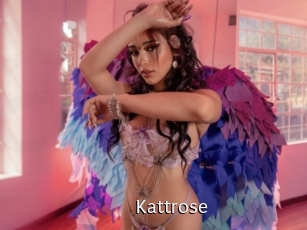 Kattrose