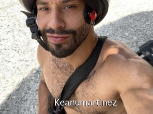 Keanumartinez