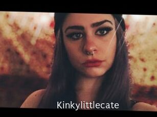 Kinkylittlecate