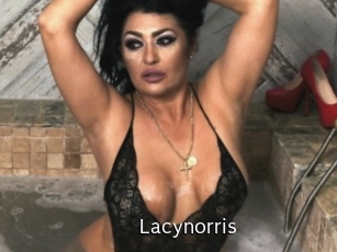 Lacynorris