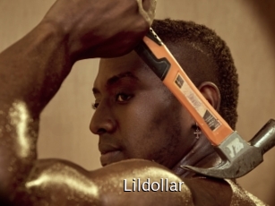 Lildollar