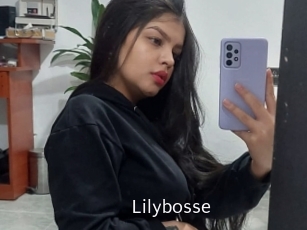 Lilybosse