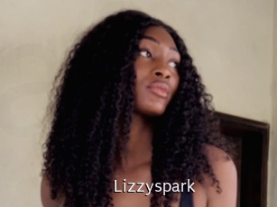 Lizzyspark