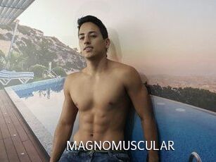MAGNOMUSCULAR