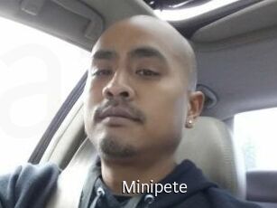 Minipete