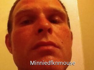 Minniedfknmouse