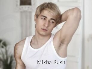 Misha_Bush