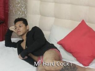Mr_Hard_Cock1