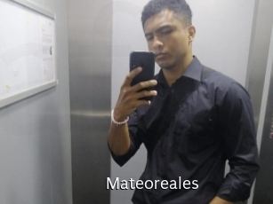 Mateoreales