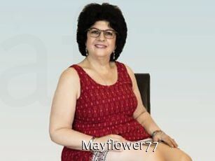 Mayflower77