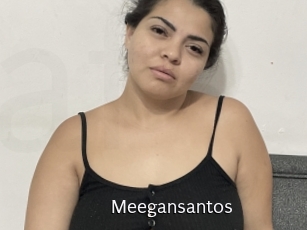 Meegansantos