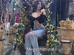 Meganhammer