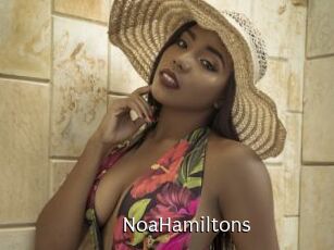 NoaHamiltons