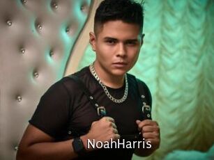 NoahHarris