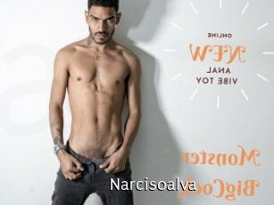 Narcisoalva