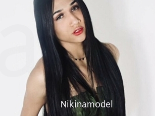 Nikinamodel