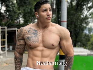 Noaharris19