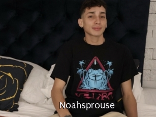 Noahsprouse