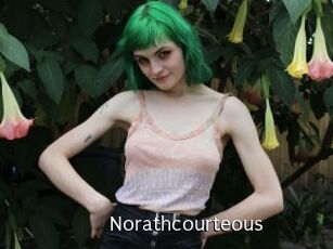 norathcourteous Anal Fist