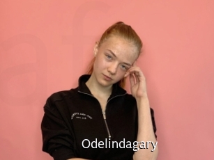 Odelindagary