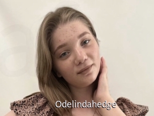 Odelindahedge